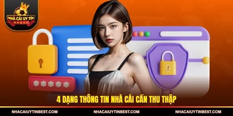 4 dạng thông tin nhà cái cần thu thập