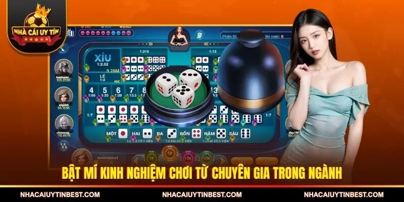 Bật mí kinh nghiệm chơi từ chuyên gia trong ngành