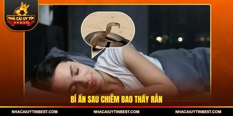 Bí ẩn sau chiêm bao thấy rắn