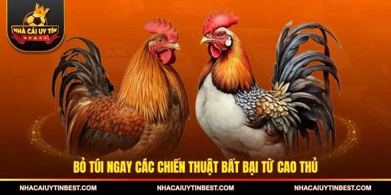 Bỏ túi ngay các chiến thuật bất bại từ cao thủ