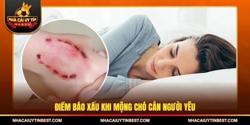 Điềm báo xấu khi mộng chó cắn người yêu