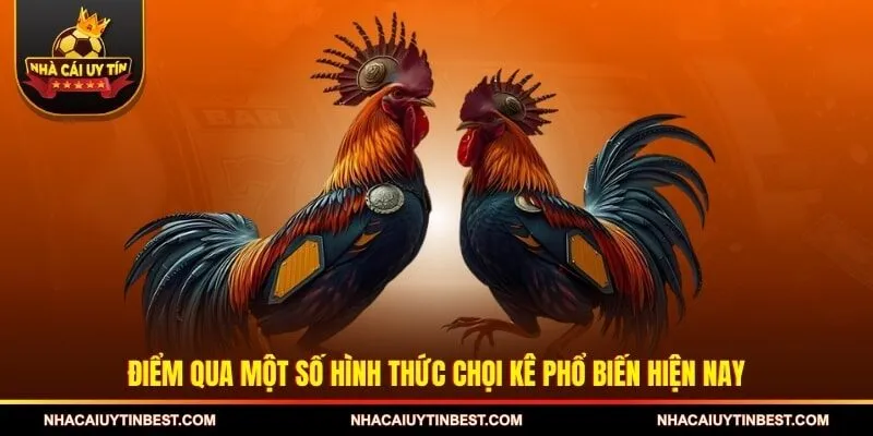 Điểm qua một số hình thức chọi kê phổ biến hiện nay