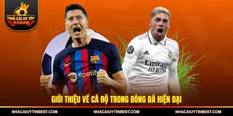 Giới thiệu về cá độ trong bóng đá hiện đại