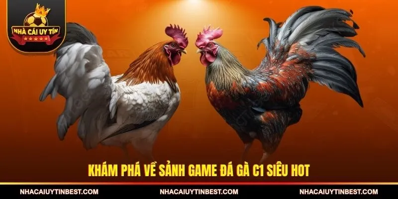 Khám phá về sảnh game đá gà C1 siêu hot