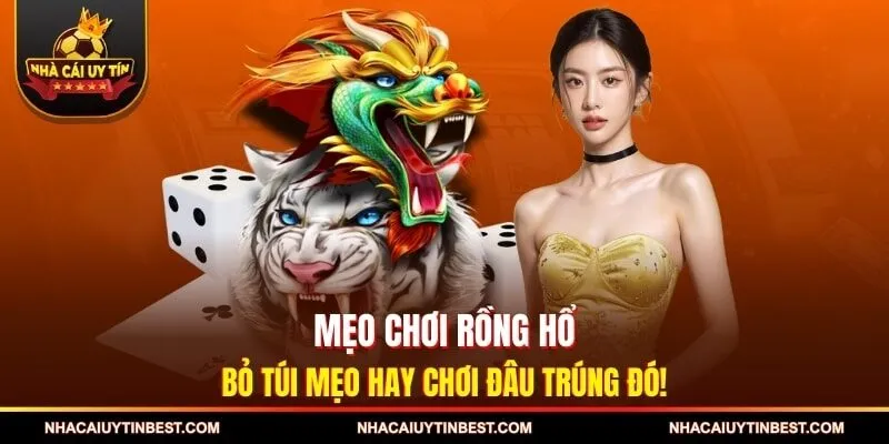 Mẹo Chơi Rồng Hổ - Bỏ Túi Mẹo Hay Chơi Đâu Trúng Đó!
