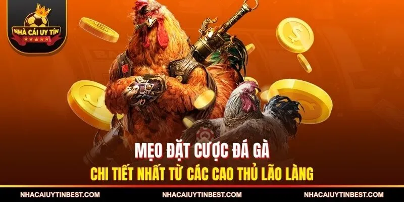 Mẹo Đặt Cược Đá Gà Chi Tiết Nhất Từ Các Cao Thủ Lão Làng