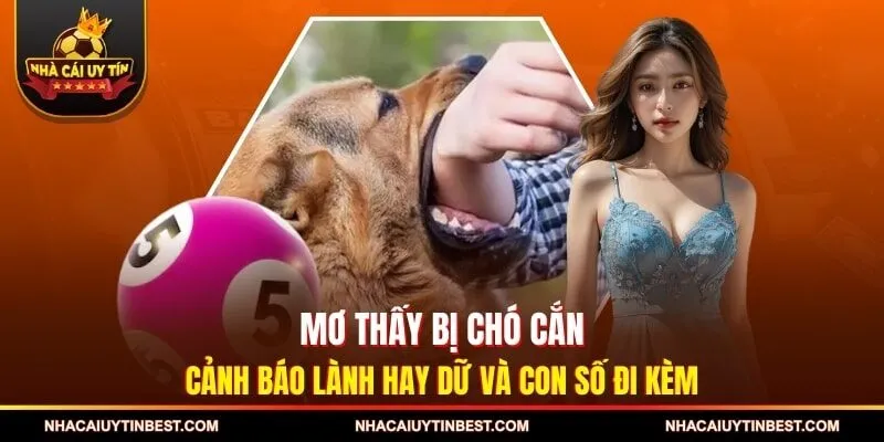 Mơ Thấy Bị Chó Cắn Cảnh Báo Lành Hay Dữ Và Con Số Đi Kèm