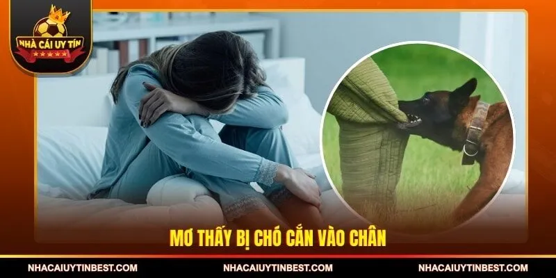 Mơ thấy bị chó cắn vào chân