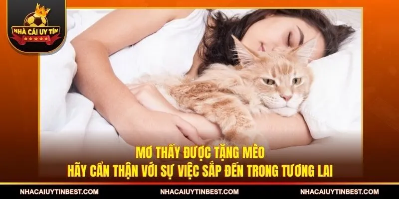 Mơ thấy được tặng mèo, hãy cẩn thận với sự việc sắp đến trong tương lai