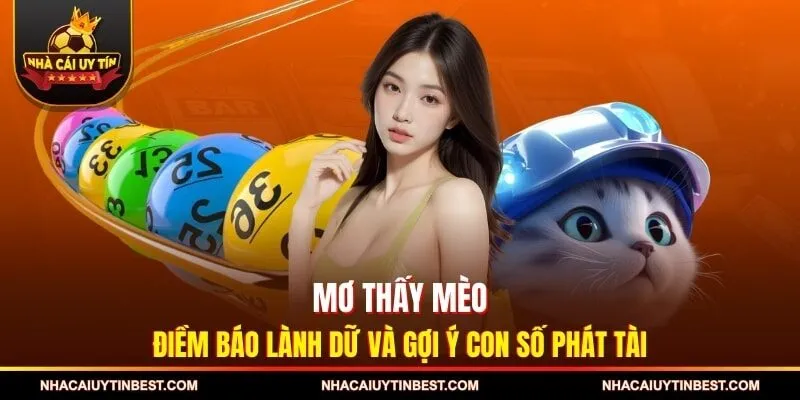 Mơ Thấy Mèo - Điềm Báo Lành Dữ Và Gợi Ý Con Số Phát Tài