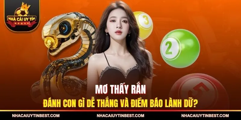 Mơ Thấy Rắn Đánh Con Gì Dễ Thắng Và Điềm Báo Lành Dữ?