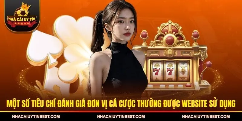 Một số tiêu chí đánh giá đơn vị cá cược thường được website sử dụng