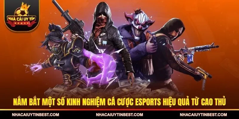 Nắm bắt một số kinh nghiệm cá cược esports hiệu quả từ cao thủ