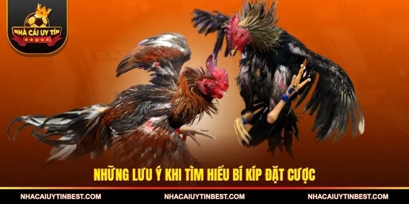 Những lưu ý khi tìm hiểu bí kíp đặt cược