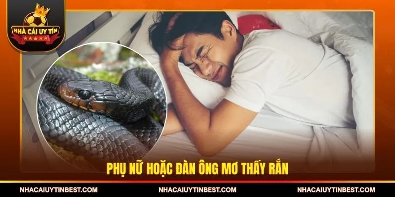 Phụ nữ hoặc đàn ông mơ thấy rắn