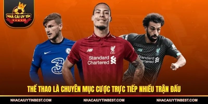 Thể thao là chuyên mục cược trực tiếp nhiều trận đấu