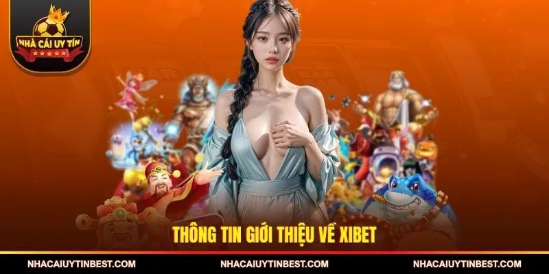Thông tin giới thiệu về XIBET